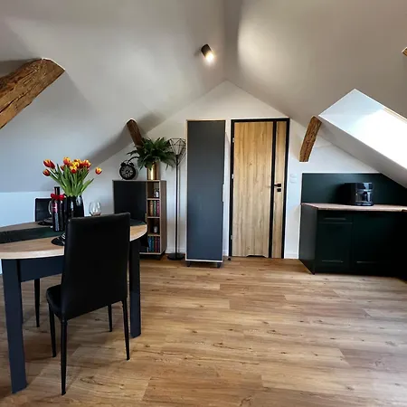 Do Brzegu Lepiej Loft Z Klimatyzacja I Tarasem Blisko Jeziora Parking Διαμέρισμα