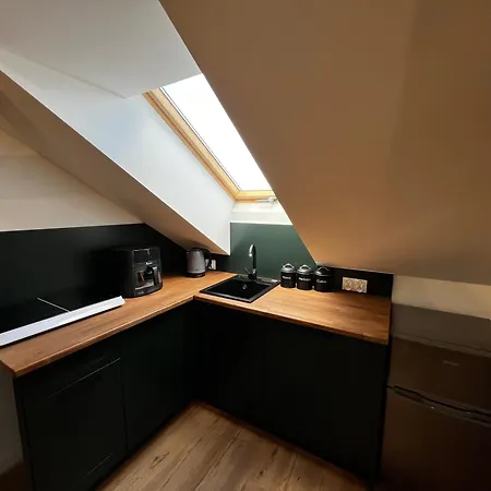 Apartment Do Brzegu Lepiej Loft Z Klimatyzacja I Tarasem Blisko Jeziora Parking Olsztynek