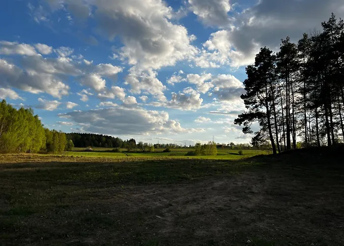 Do Brzegu Lepiej - Siedlisko Jemiolowo - Blisko Jeziora Olsztynek