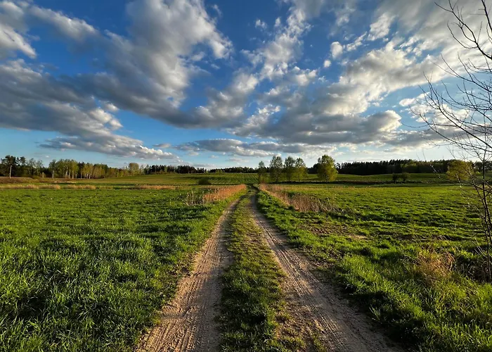 Apartment Do Brzegu Lepiej - Siedlisko Jemiolowo - Blisko Jeziora Olsztynek